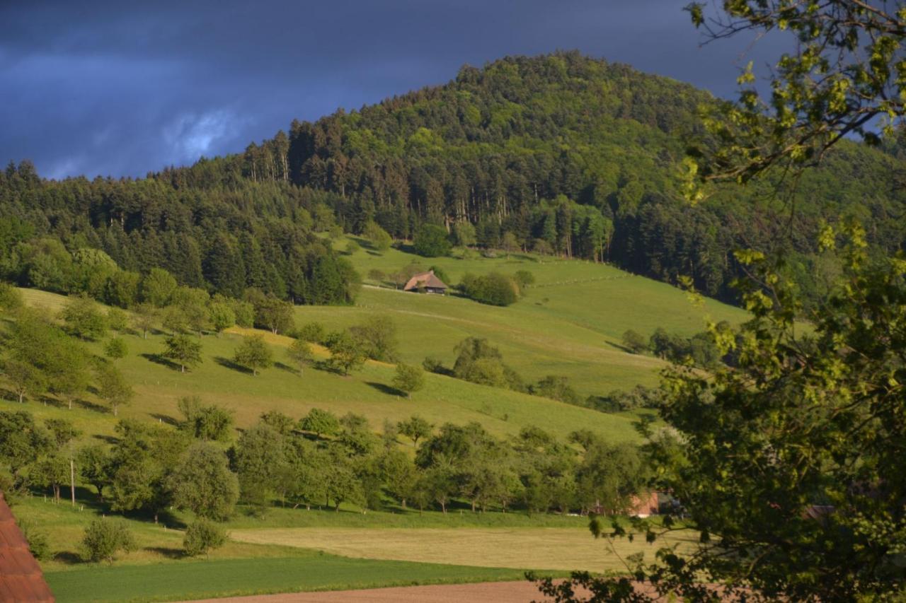 Haus Reichenbach Διαμέρισμα Glottertal Εξωτερικό φωτογραφία